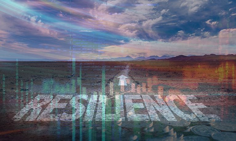 The resilient economy