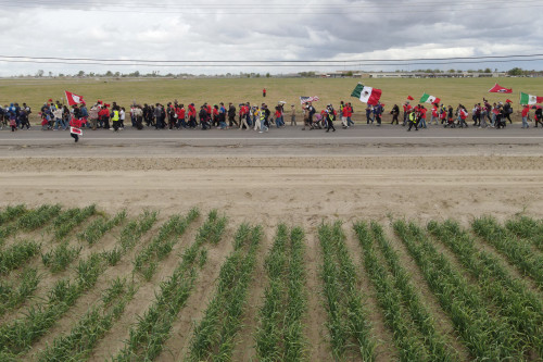 2025-06-20T195947Z_1_LYNXMPEL5J114_RTROPTP_4_MIGRATION-USA-CESAR-CHAVEZ-DAY