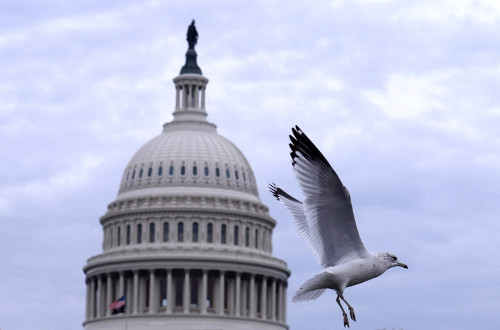 2025-07-08T152138Z_2_LYNXMPEL670B0_RTROPTP_4_USA-POLITICS