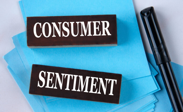 CONSUMER SENTIMENT - words on wooden brown blocks on a light background with a marker