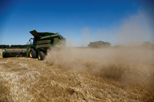 2025-09-11T170606Z_1_LYNXNPEL8A0RE_RTROPTP_4_EUROPE-WHEAT-CROPS